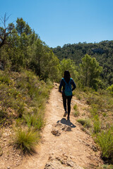 Obraz premium Hiking route in a town in the province of Valencia, nature on a sunny day.