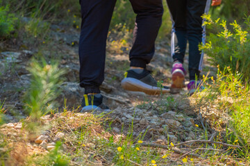 
Hiking route in a town in the province of Valencia, nature on a sunny day.