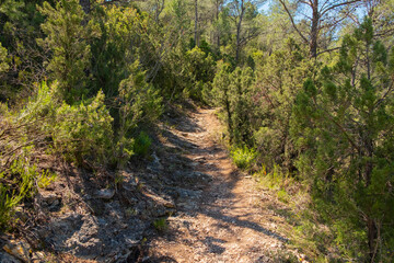 Fototapeta na wymiar Hiking route in a town in the province of Valencia, nature on a sunny day.