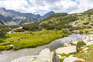 Fototapeta na wymiar Landscape with Banderitsa River, Pirin Mountain, Bulgaria