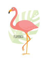 Vector cartoon tropical bird isolated on white background, flamingo. Bird sticker. Flat illustration.