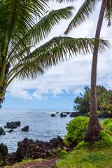 Fototapeta na wymiar The Beach in Along the Hana Highway, Maui, Hawaii
