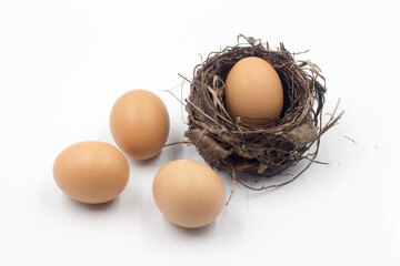 Eggs in a nest placed on a white background isolate