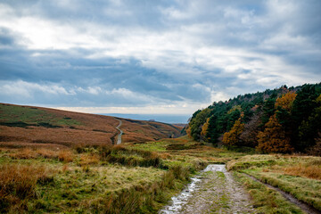 Naklejka premium road in the mountains