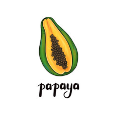 Isolated papaya on white background. Half an orange papaya. Ripe papaya with seeds. Print, banner, label, poster, sticker, logo. 