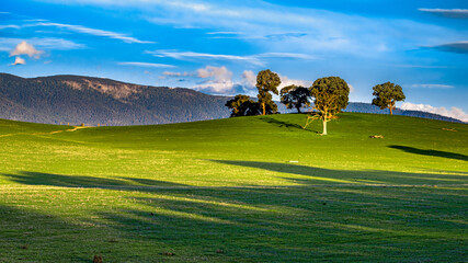 Breathtaking view of the Yarra Valley on a sunny day, Victoria, Australia
