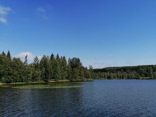 lake in the forest in the spring