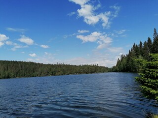 lake in the forest in the spring