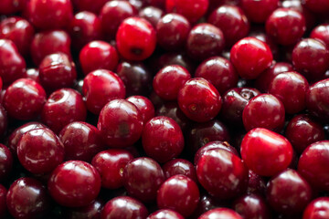 fresh cherry fruit background