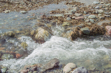 among the tears flowing foamy stream