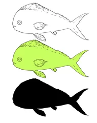 Foto op Canvas Vector set of Isolated elements of Coryphaena sea fish. Hand-drawn ocean fish Coriphaena in sketch style, black outline and silhouette and light green color image for menu design template, signage, lo © Анастасия Винтовкина