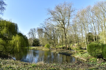 Fototapeta na wymiar L'un des étangs entouré de végétation au début du printemps au parc Josaphat à Schaerbeek