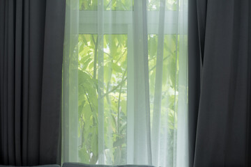 Transparent curtains with morning light from window.
