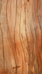 the brown texture of hard wood with craked line on surface