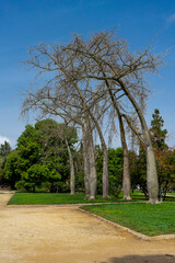 Viveros de Valencia