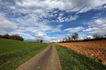 Spring landscape with sown fields and blue sky