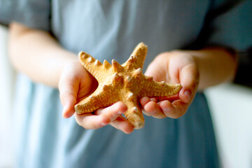 Child holding  starfish in his hands