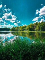 lake and forest