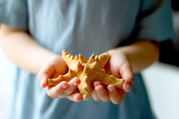 Child holding  starfish in his hands