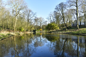 Fototapeta na wymiar L'effet miroir d'un des étangs en fin de journée au parc Josaphat à Schaerbeek