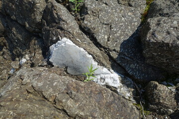 Quartz vein. Rock-forming minerals in the composition of rock. The texture of natural stone.