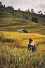 Naklejka na ściany i meble Person in the rice field