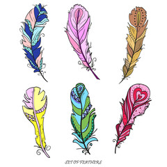 Feathers. Design Zentangle. Hand drawn feathers with abstract patterns and bright colors on isolation background. Elements for design. Zen art. Print for polygraphy, posters, t-shirts and textiles