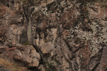 soil
