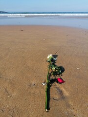 footsteps on the beach