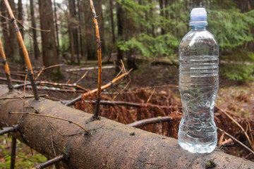 a bottle of water stands on a fallen tree in the forest