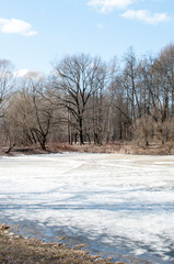 Spring landscape with melting snow. Remains of ice on a lake in the forest.
