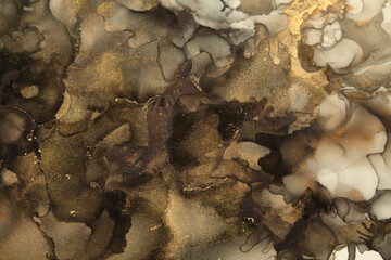 Abstract black, brown and gold glitter color horizontal background. Marble watercolor texture. Alcohol ink colors.