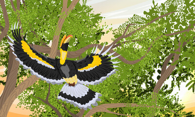 Great hornbill Buceros bicornis takes off from a tree branch. Tropical bird great Indian hornbill at sunset. Realistic vector landscape