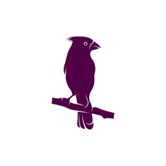Northern Cardinal bird design vector illustration, Creative Northern Cardinal bird logo design concept template, symbols icons