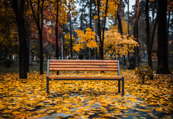 Empty wooden bench in autumn park - obrazy, fototapety, plakaty