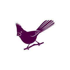Northern Cardinal bird design vector illustration, Creative Northern Cardinal bird logo design concept template, symbols icons