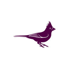 Northern Cardinal bird design vector illustration, Creative Northern Cardinal bird logo design concept template, symbols icons