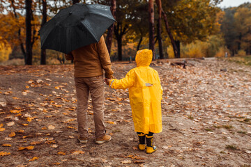 A little boy in a yellow raincoat with his father are walking in an autumn park with a black umbrella. Back view