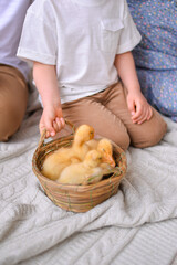 Ester basket with little ducks