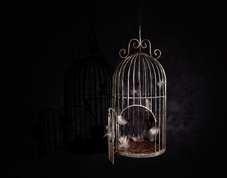 Empty cage with feathers 