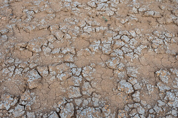Cracked soil from drought, Global warming .