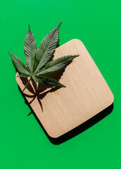 Green cannabis leaf on a green background with a wooden beige quadrature. Geometrical clean minimal artsy concept.