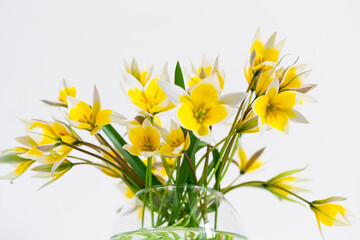 Bright yellow big sunflowers in glass vase on dark table on light texture background. Mockup banner with sunflower bouquet with copy space. springtime concept