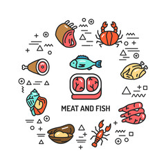 Meat and fish web banner. Infographics with linear icons on white background. Creative idea concept. Isolated outline color illustration