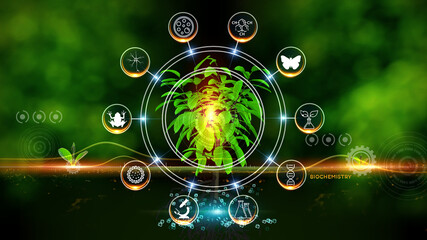 Biochemistry Concept Green environment with Center and spoke Concept ,Plant on center and rotating Icons