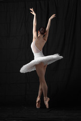 Young beautiful skinny ballerina is posing in studio