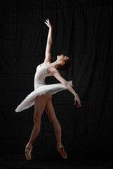 Young beautiful skinny ballerina is posing in studio - obrazy, fototapety, plakaty