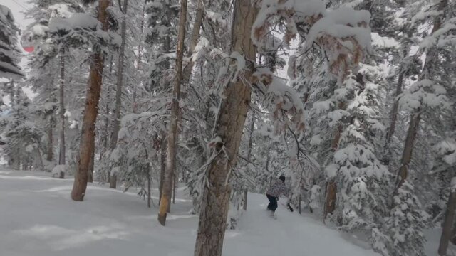 Man snowboarding between trees. White snow slopes of Aspen, Colorado. Extreme sports concept