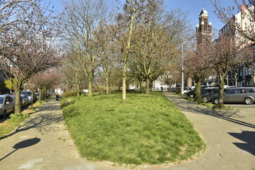 Les arbres du square Riga sous un ciel de printemps ,à Schaerbeek
