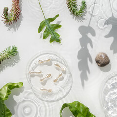 Cosmetic skincare, face capsules, splashes of water. Exotic fern and succulent leaves. Direct sunlight with strong floral shadows. Natural moisturizer background.